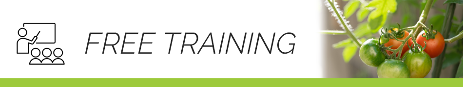 free-training-banner