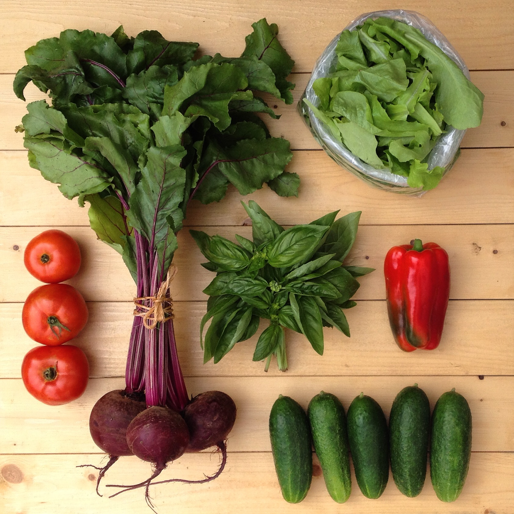 Growing a Beginner Vegetable Garden - BackYard Riches