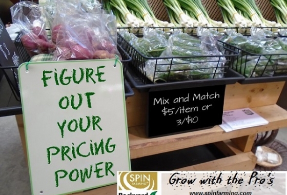 What’s Your Pricing Power? Just Ask.